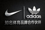 知名体育品牌合作伙伴Logo - 某国际运动品牌标志